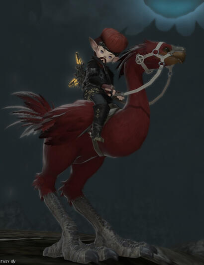 THE Red Chocobo